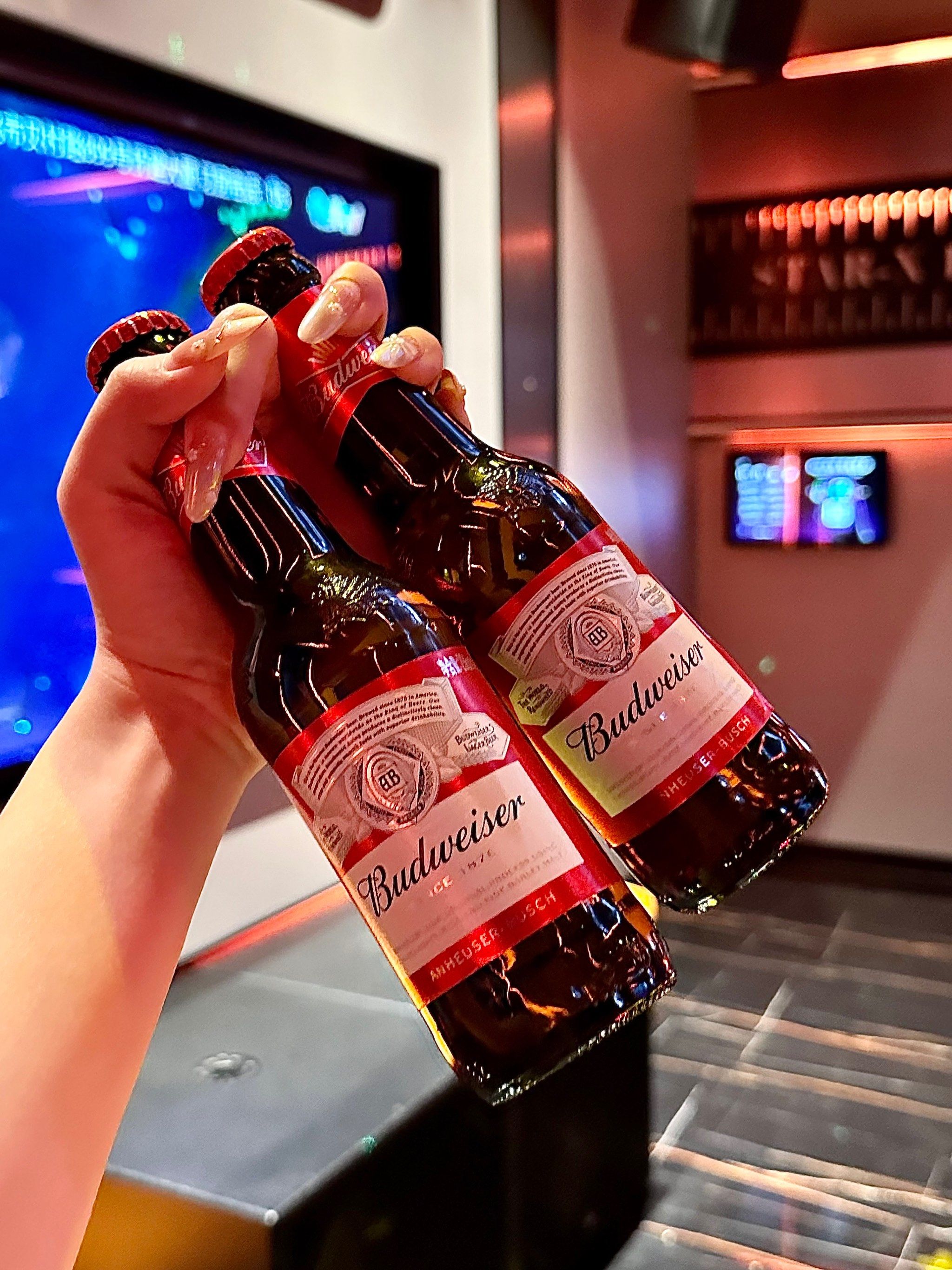 崇左商务ktv：尽享商务休闲 ver.-天等县ktv预定